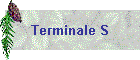 Terminale S